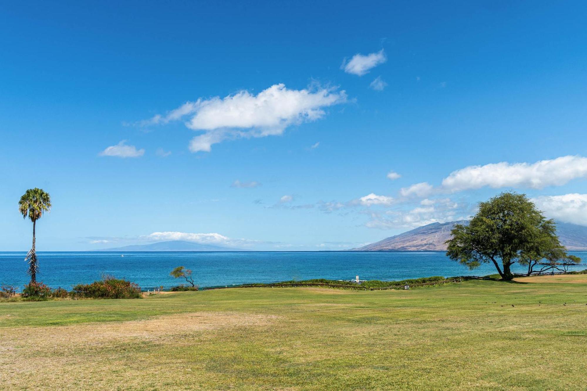 Maui Banyan Q-109 Lägenhet Wailea  Exteriör bild