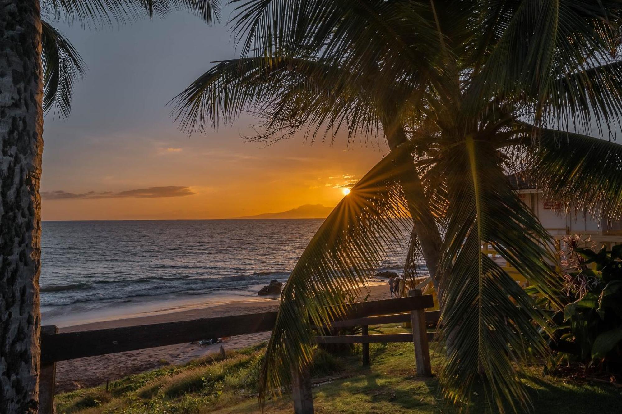 Maui Banyan Q-109 Lägenhet Wailea  Exteriör bild